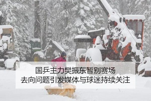 国乒主力樊振东暂别赛场 去向问题引发媒体与球迷持续关注